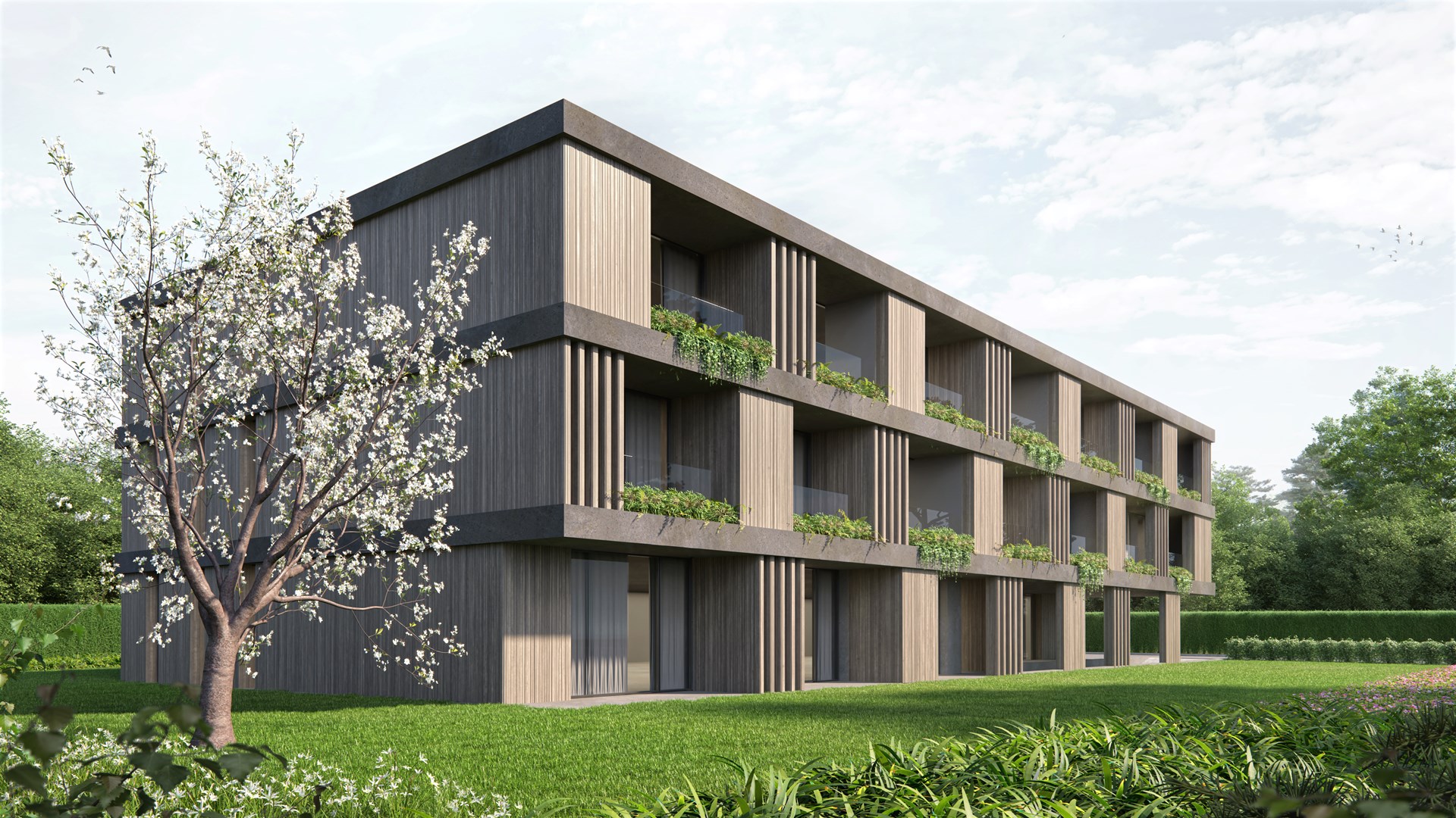 NEUBAU MFH MIT 19 MIETWOHNUNGEN